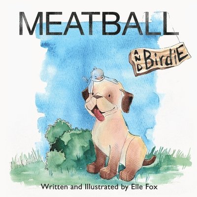 Meatball and Birdie 1