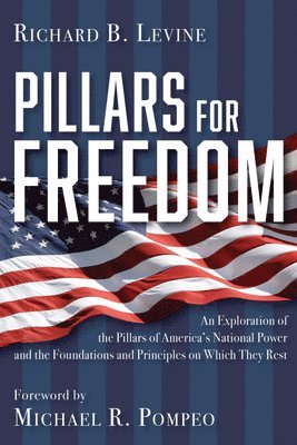 bokomslag Pillars for Freedom