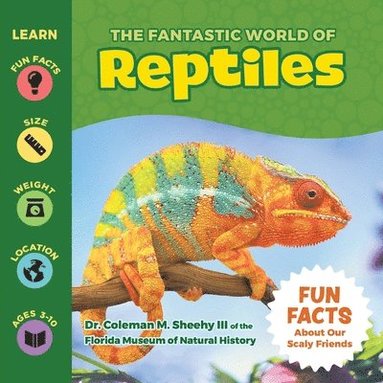 bokomslag The Fantastic World of Reptiles