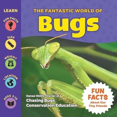 Danae Wolfe - The Fantastic World of Bugs, Häftad