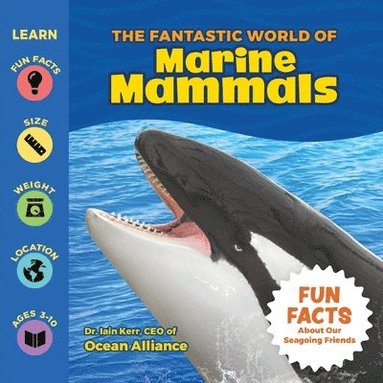 bokomslag Kerr, I: Fantastic World of Marine Mammals