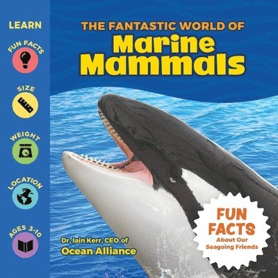 The Fantastic World of Marine Mammals 1