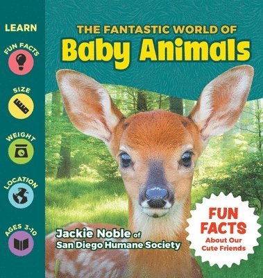 Jackie Noble - The Fantastic World of Baby Animals, Inbunden