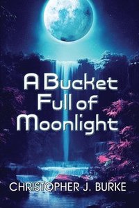 bokomslag A Bucket Full of Moonlight