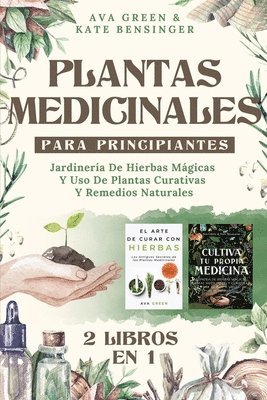 Plantas Medicinales Para Principiantes 1