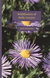 bokomslag Wildflowers of Hells Canyon