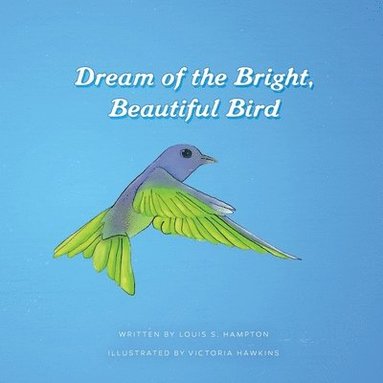 bokomslag Dream of the Bright, Beautiful Bird