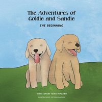 bokomslag The Adventures of Goldie and Sandie