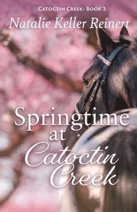 bokomslag Springtime at Catoctin Creek