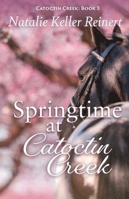 bokomslag Springtime at Catoctin Creek