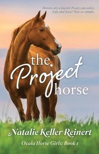 bokomslag The Project Horse