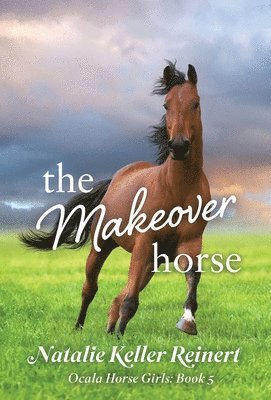 Makeover Horse (Ocala Horse Girls