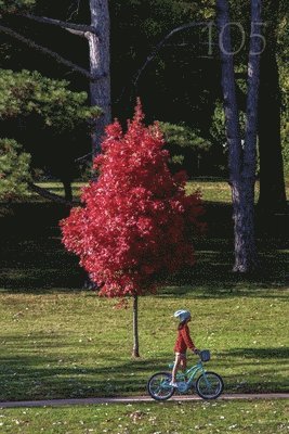 Cheryl Unruh - 105 Meadowlark Reader, Häftad