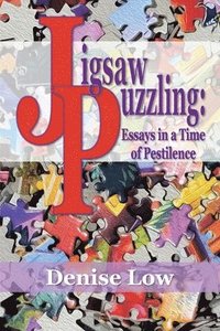 bokomslag Jigsaw Puzzling