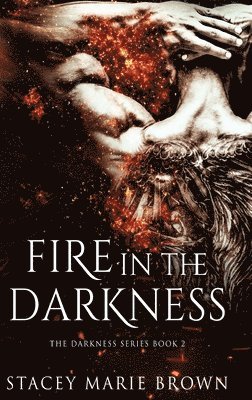 Fire In The Darkness 1