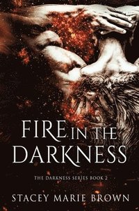 bokomslag Fire In The Darkness