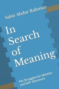 bokomslag In Search of Meaning