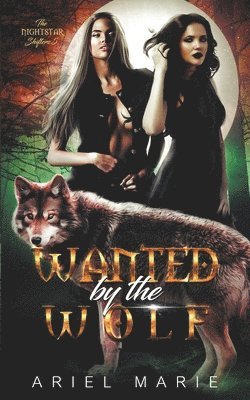 Wanted by the Wolf