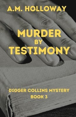 bokomslag Murder by Testimony