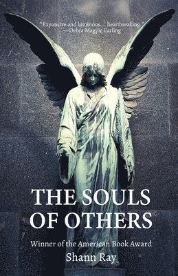 bokomslag Souls of Others
