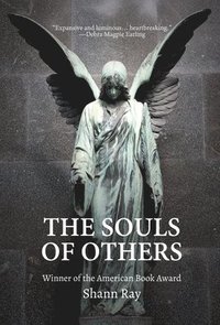 bokomslag The Souls of Others