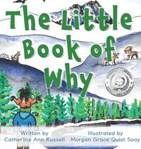 bokomslag The Little Book of Why