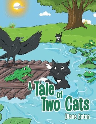 Tale of Two Cats
