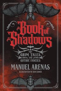 bokomslag Book of Shadows