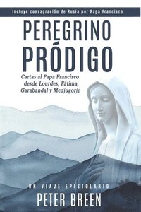 bokomslag Peregrino Prodigo