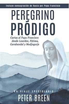 bokomslag Peregrino Pródigo