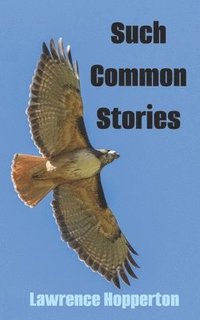 bokomslag Such Common Stories