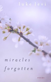bokomslag Miracles Forgotten