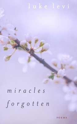bokomslag Miracles Forgotten