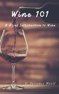 bokomslag Wine 101