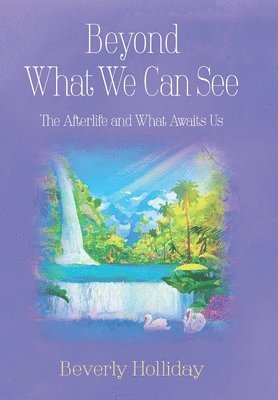 Beyond What We Can See 1