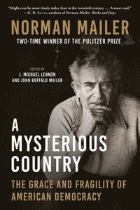bokomslag A Mysterious Country: The Grace and Fragility of American Democracy