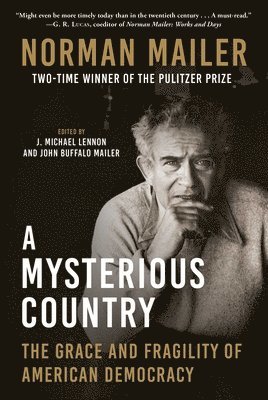 bokomslag A Mysterious Country: The Grace and Fragility of American Democracy