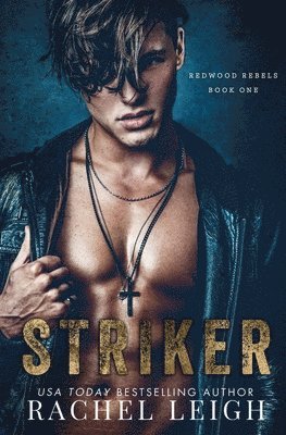 bokomslag Striker