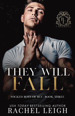 They Will Fall 1