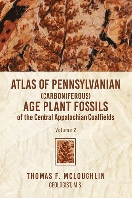 bokomslag Atlas Of Pennsylvanian (Carboniferous) Age Plant Fossils of the Central Appalachian Coalfields