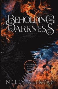 bokomslag Beholding Darkness