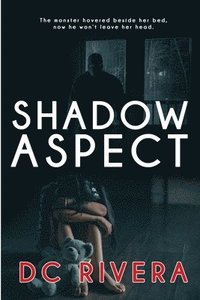bokomslag Shadow Aspect