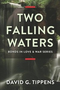 bokomslag Two Falling Waters