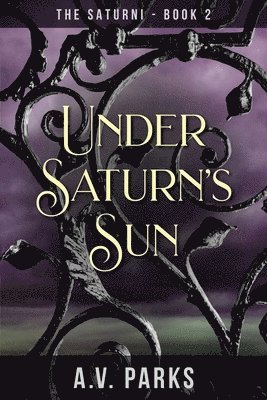 Under Saturn's Sun