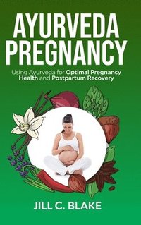 bokomslag Ayurveda Pregnancy