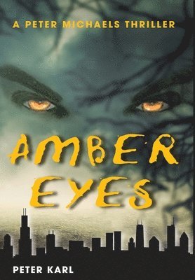 bokomslag Amber Eyes