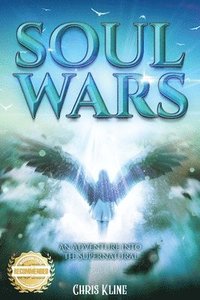 bokomslag Soul Wars