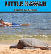 bokomslag Little Hawaii