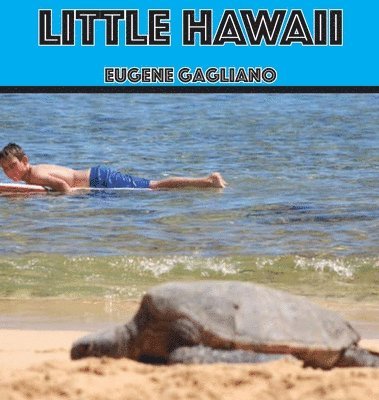 Little Hawaii 1