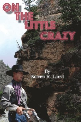 bokomslag On the Little Crazy